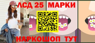 гидропоника Пенза
