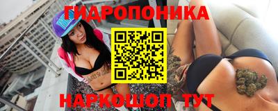 гидропоника Пенза