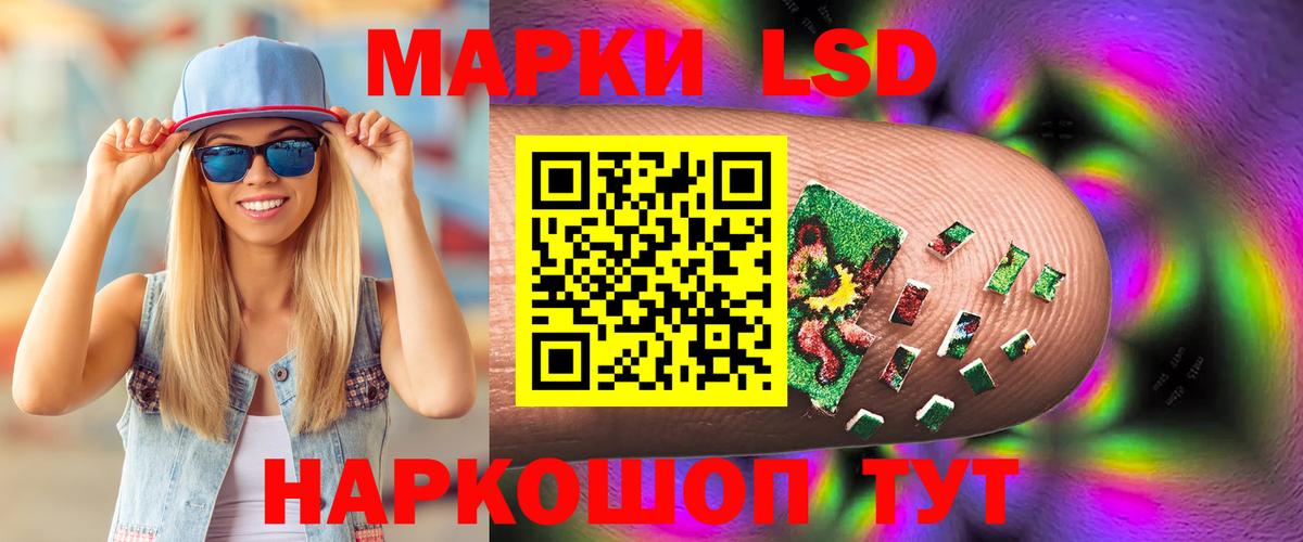 Лсд 25 экстази кислота  LSD-25 экстази кислота  Новозыбков  Лсд 25 экстази  Вход с VPN 