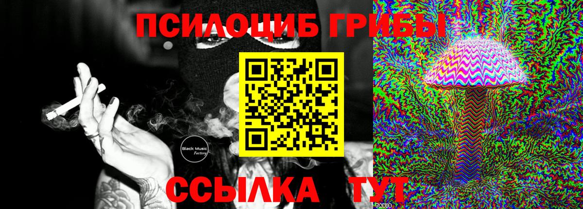 Галлюциногенные грибы Magic Shrooms  Вход с VPN  Новозыбков 