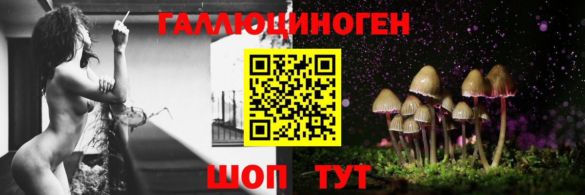 Псилоцибиновые грибы Magic Shrooms Новозыбков